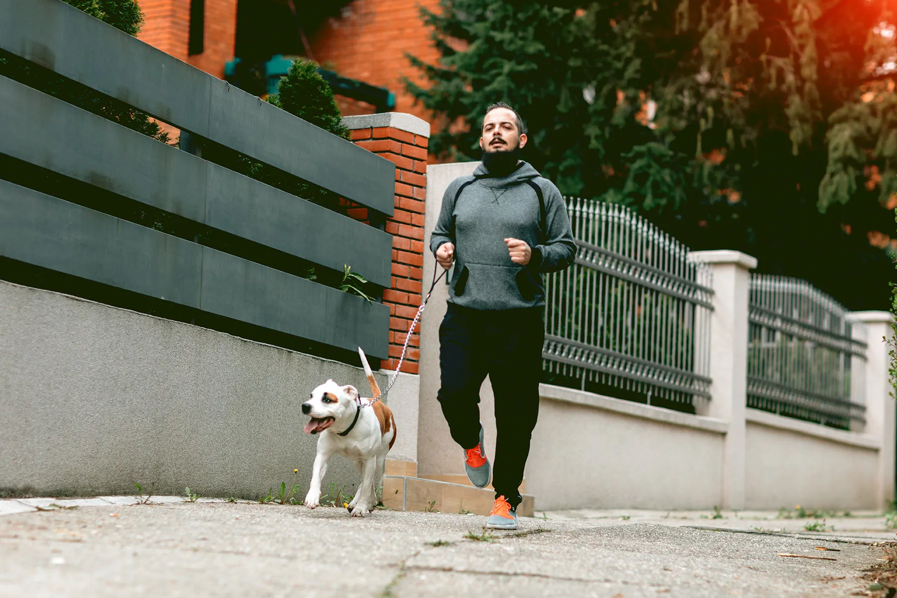 photo of man jogging with his dog
