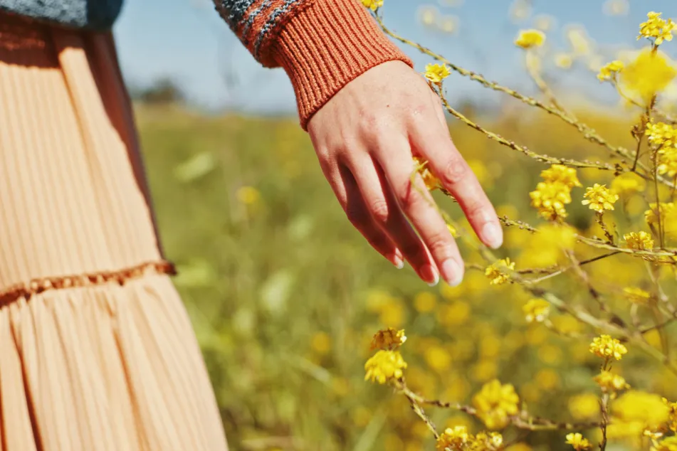 photo of Woman, hand and touch flowers 