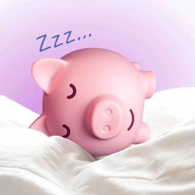 photo of Sleeping pig piggy bank