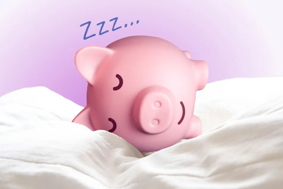 photo of Sleeping pig piggy bank