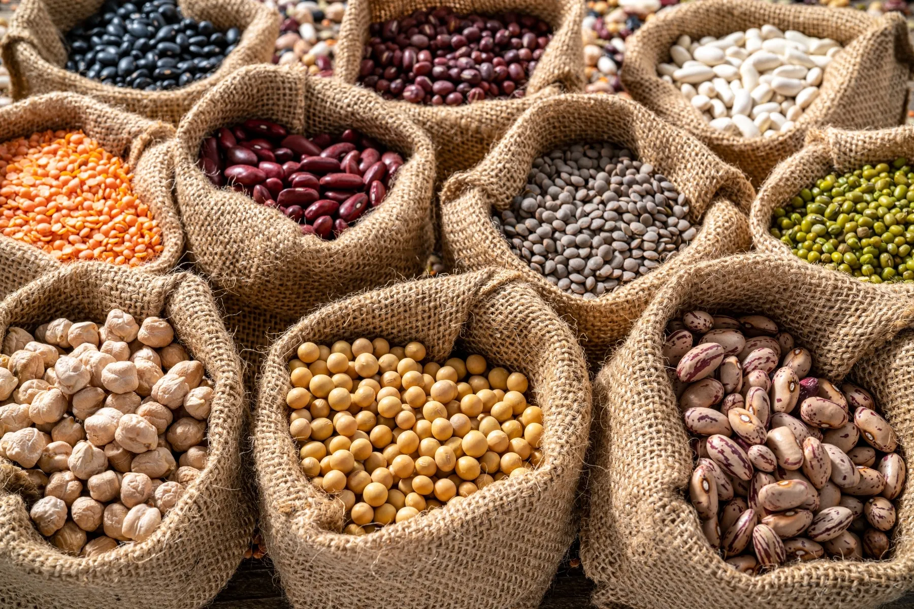 photo of sacks of assorted chickpeas, lentils, soybean and beans
